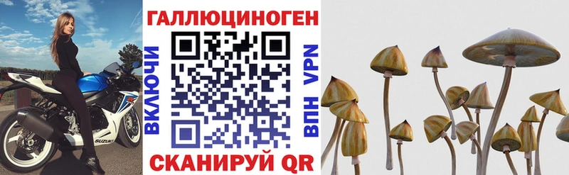цена наркотик  MEGA зеркало  Псилоцибиновые грибы GOLDEN TEACHER  Крымск 