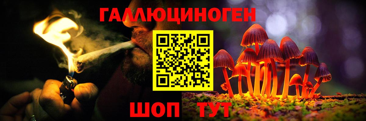 Галлюциногенные грибы Psilocybe Крымск